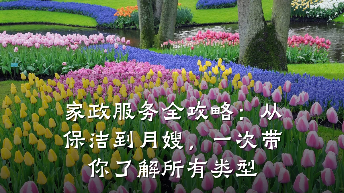 家政服务全攻略:从保洁到月嫂,一次带你了解所有类型