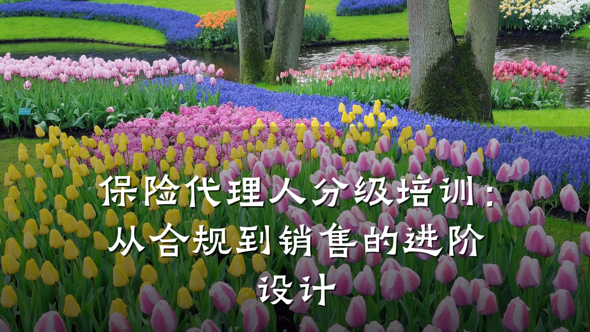 保险代理人分级培训：从合规到销售的进阶设计