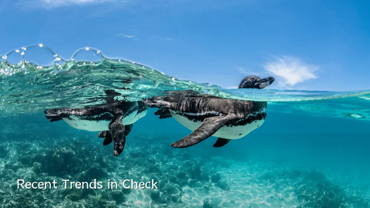 Recent Trends in Check