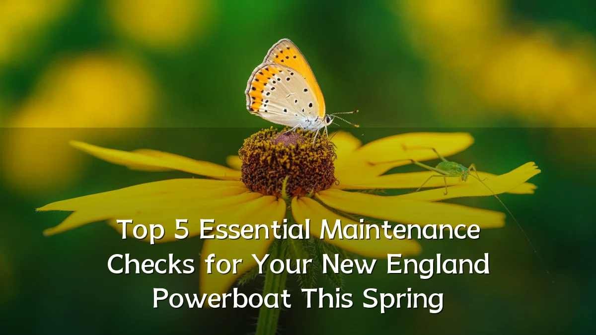 Top 5 Essential Maintenance Checks for Your New England Powerboat This Spring