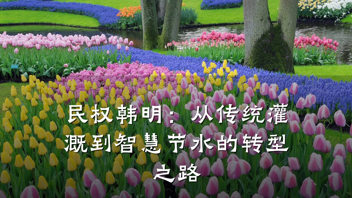 民权韩明:从传统灌溉到智慧节水的转型之路