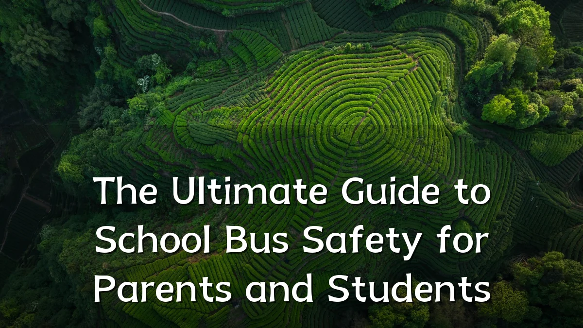 The Ultimate Guide to School Bus Safety for Parents and Students