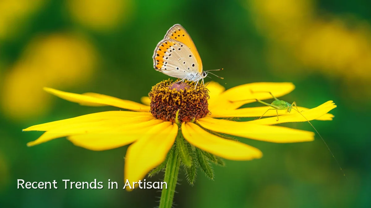 Recent Trends in Artisan