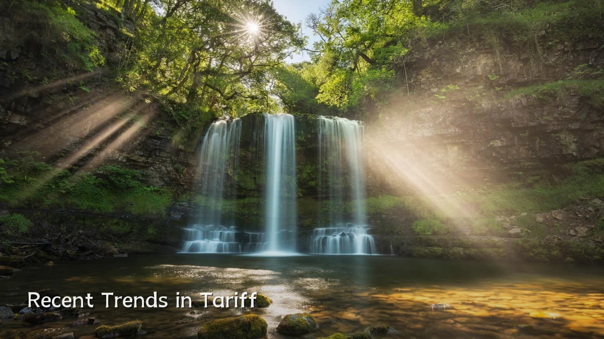 Recent Trends in Tariff