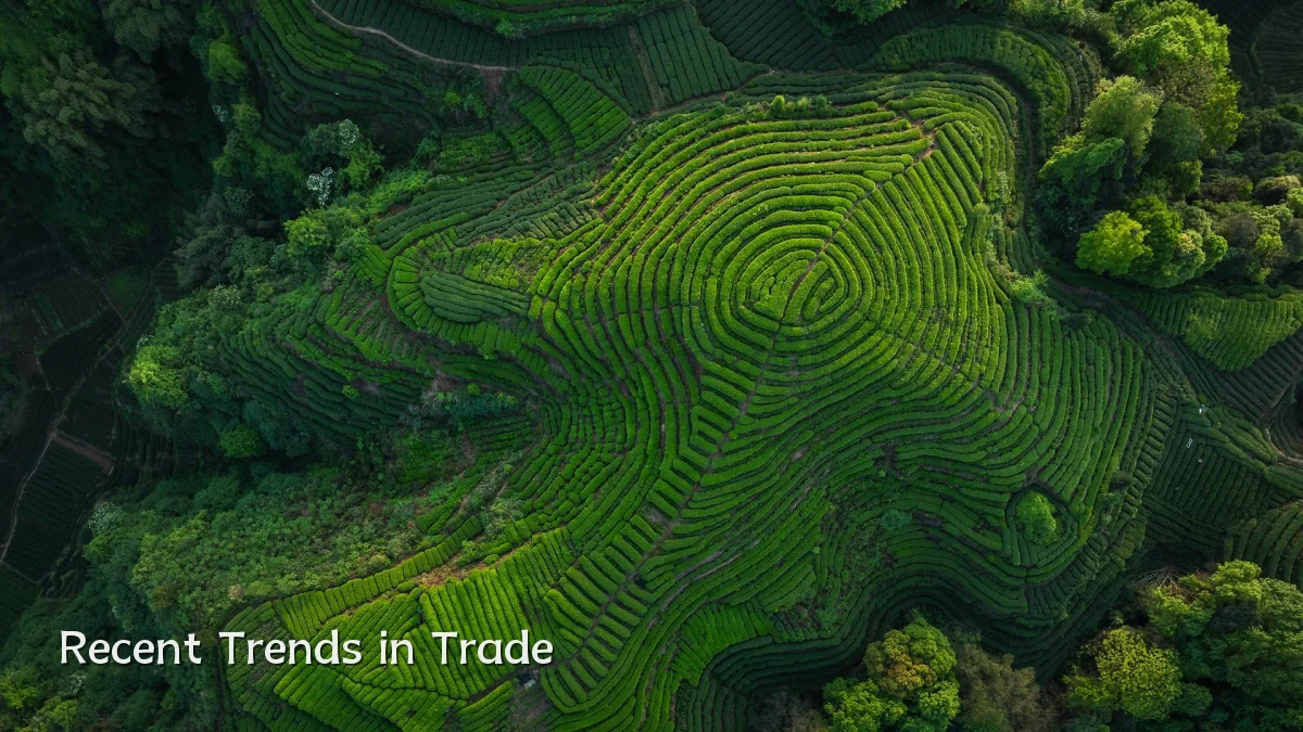 Recent Trends in Trade