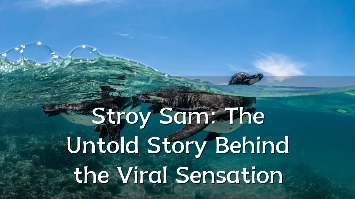 Stroy Sam: The Untold Story Behind the Viral Sensation