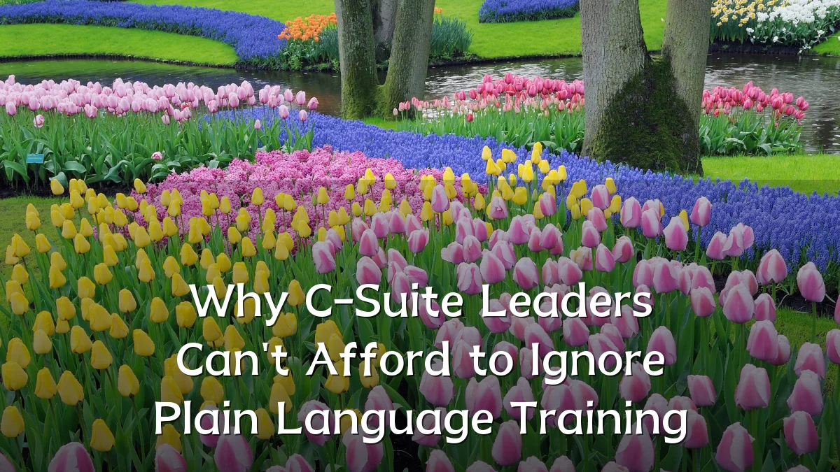 Why C-Suite Leaders Can't Afford to Ignore Plain Language Training