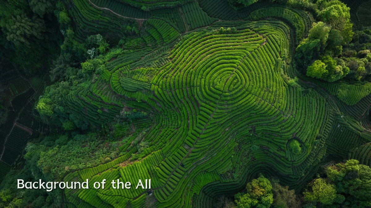 Background of the All