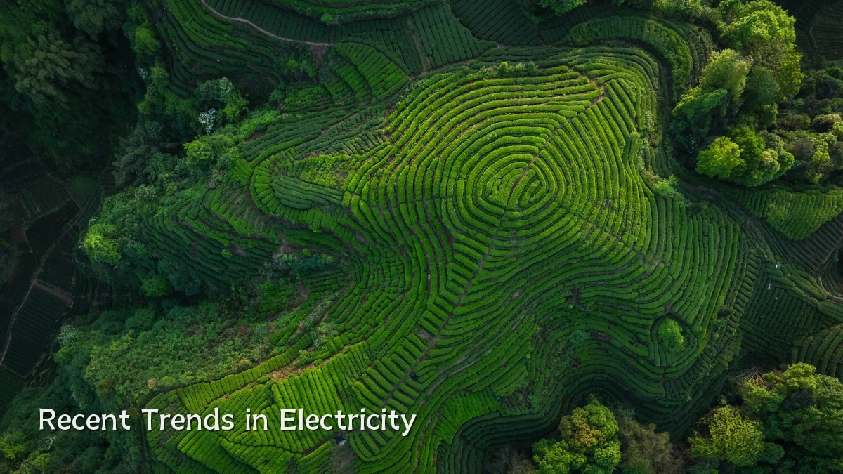 Recent Trends in Electricity