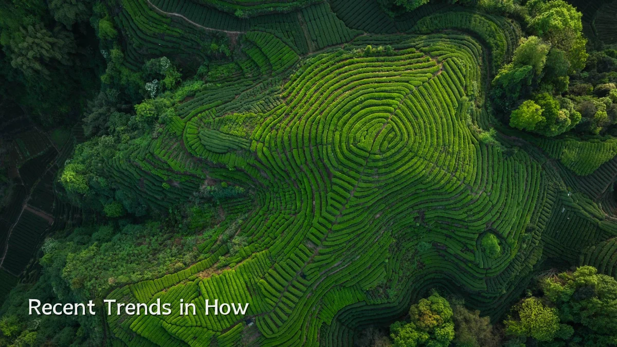 Recent Trends in How