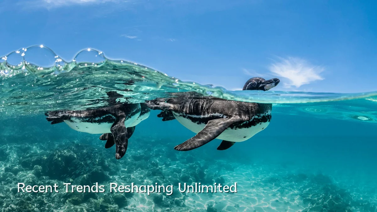 Recent Trends Reshaping Unlimited